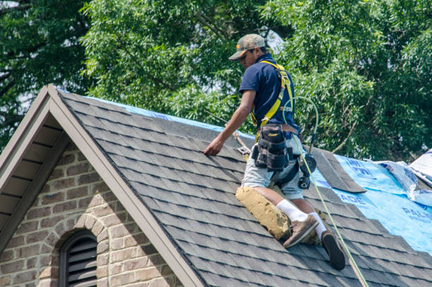 Quick and Trustworthy Emergency Roof Repair Services in Lynn Haven, FL